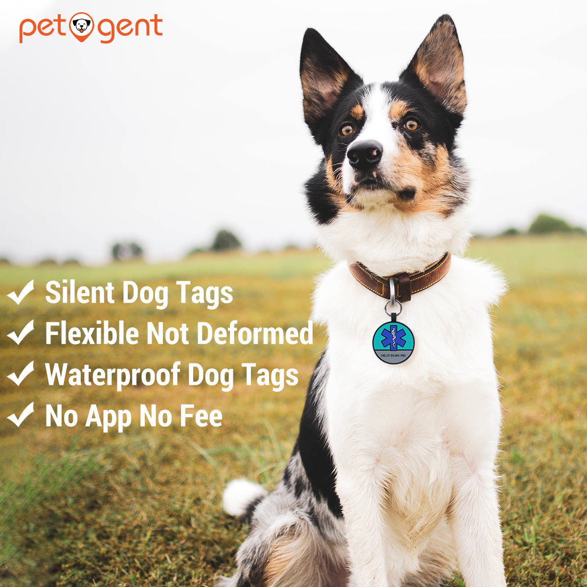 Petgent QR Code Dog Tags for Pets Personalized Editable Pet Cat Dog Na ...
