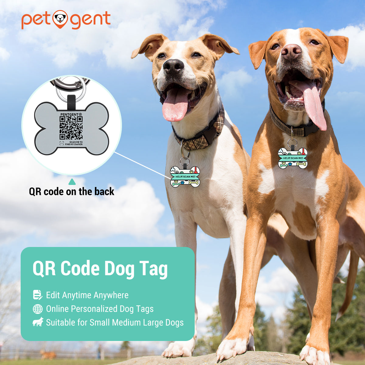 Petgent QR Code Dog Tags for Pets Personalized Editable Pet Cat Dog Na ...
