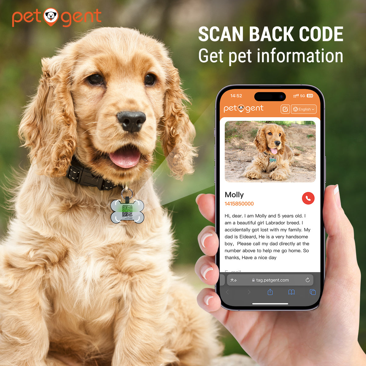 Dog Scanner App Find Out What Type Of Dog You Have Embark Dog DNA